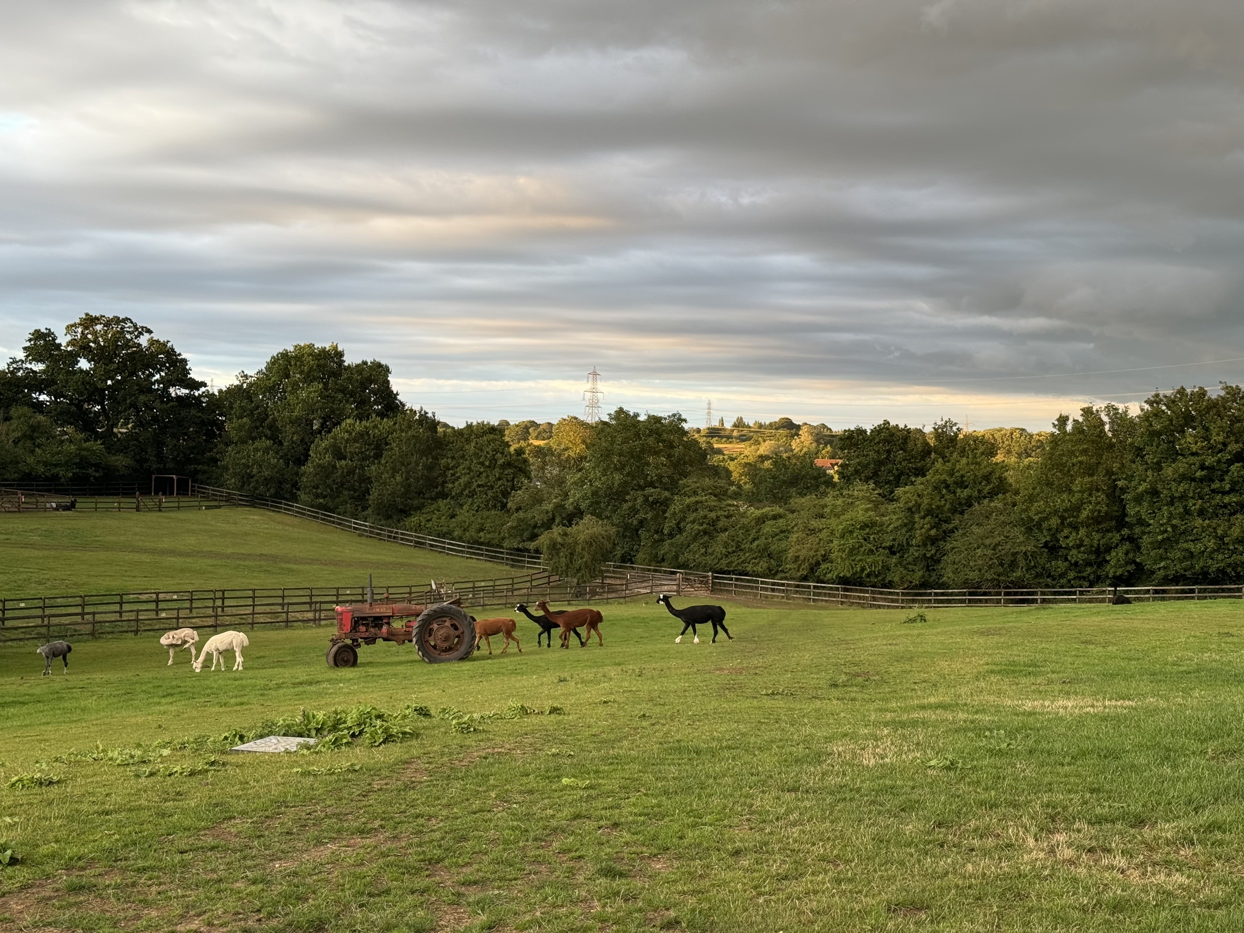 Stantons Farm - Petting Farm