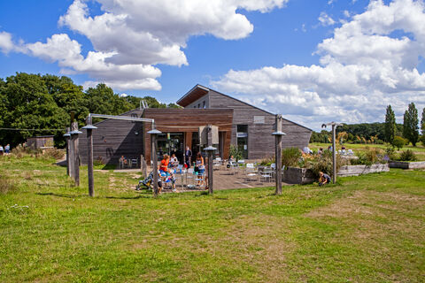 Essex Wildlife Trust Belfairs Nature Discovery Centre