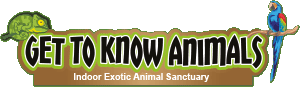Get to know animals CIC