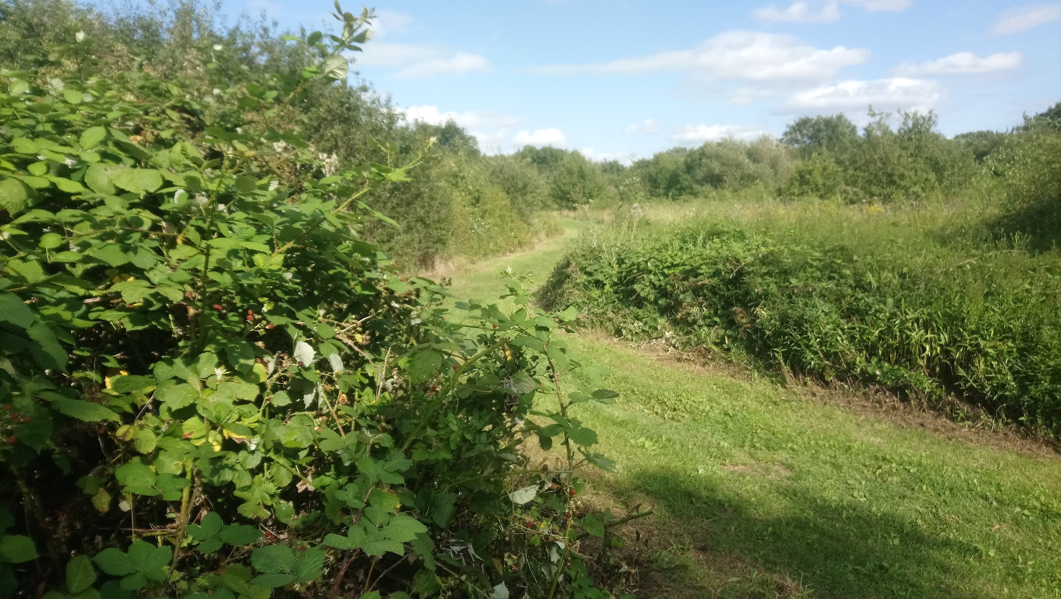 Cherry Orchard Nature Reserve