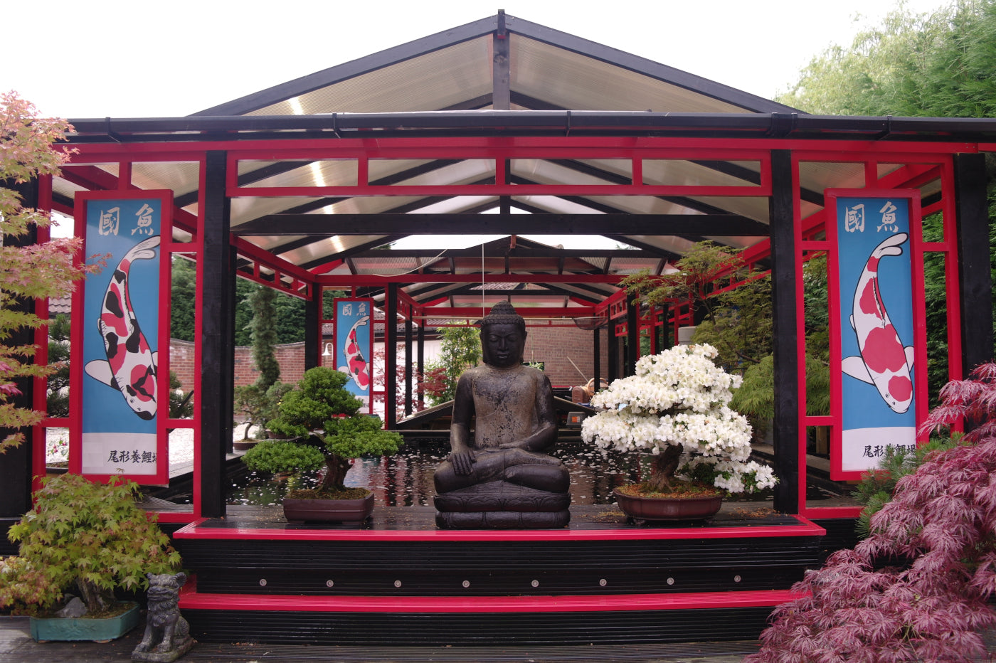 CN Koi - based at Claremont Garden Centre, Bryants Lane, Maldon Road, Woodham Mortimer. CM9 6TB