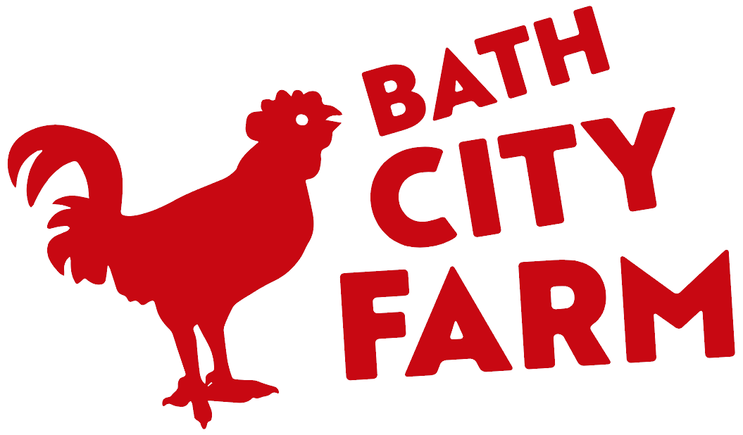 Bath City Farm