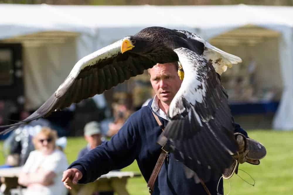 National Centre for Birds of Prey (NCBP)