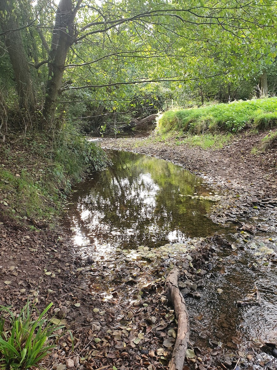 The Parks Nature Reserve