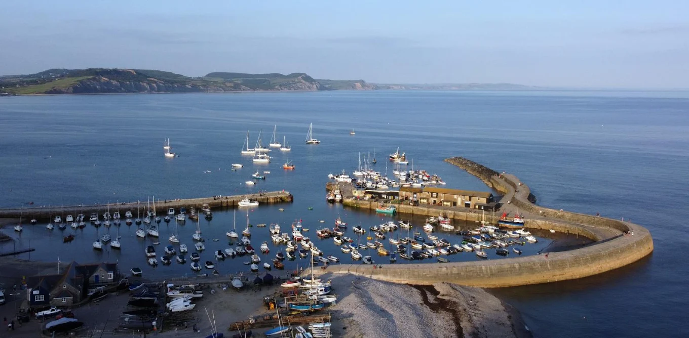 The Cobb
