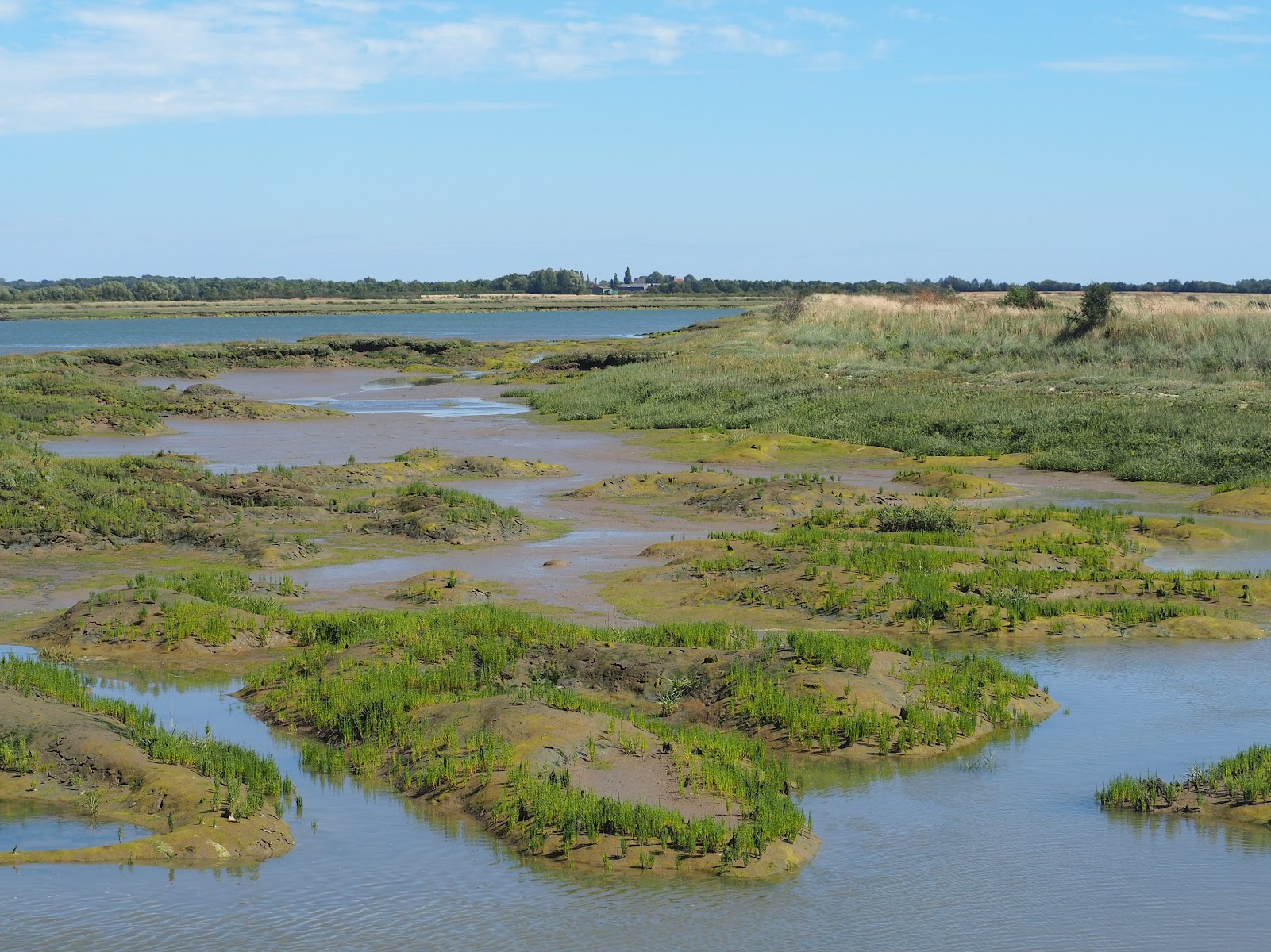 RSPB Old Hall Marshes