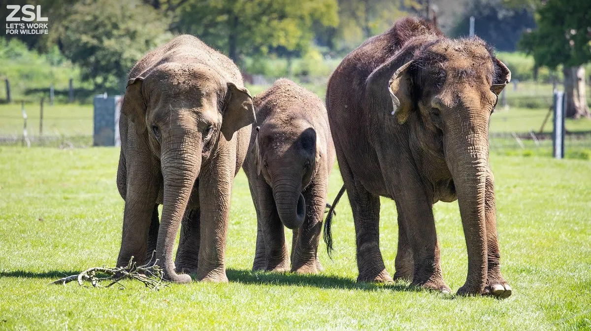 Whipsnade Zoo