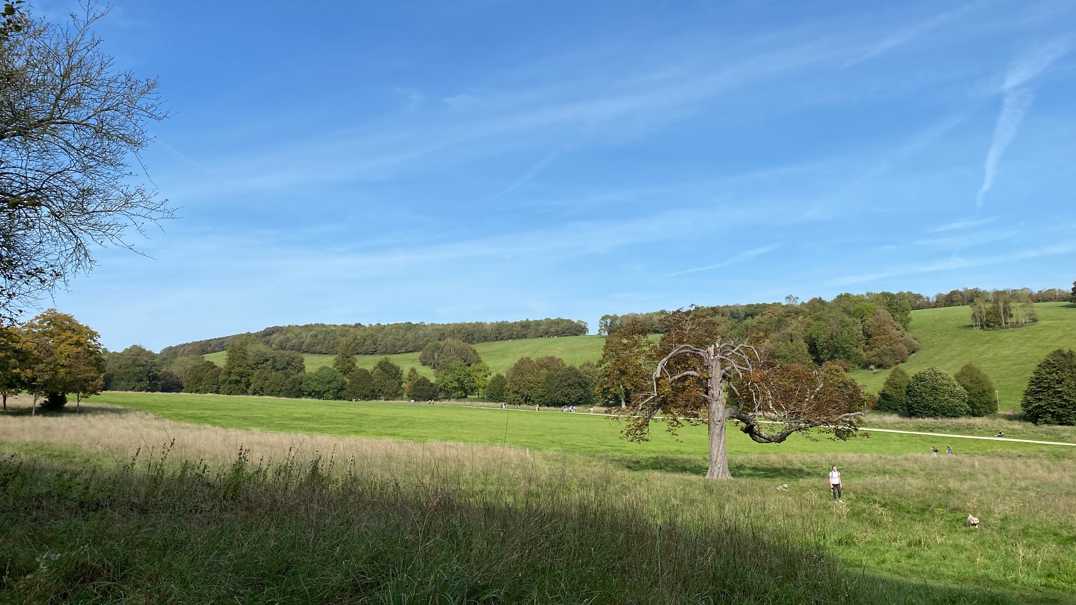 Stanmer Park Nature Reserve
