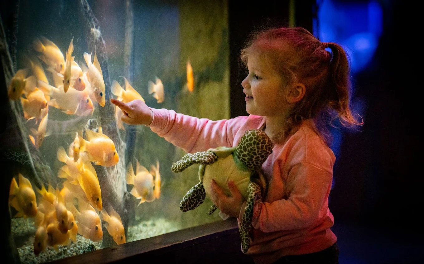 Deep Sea World