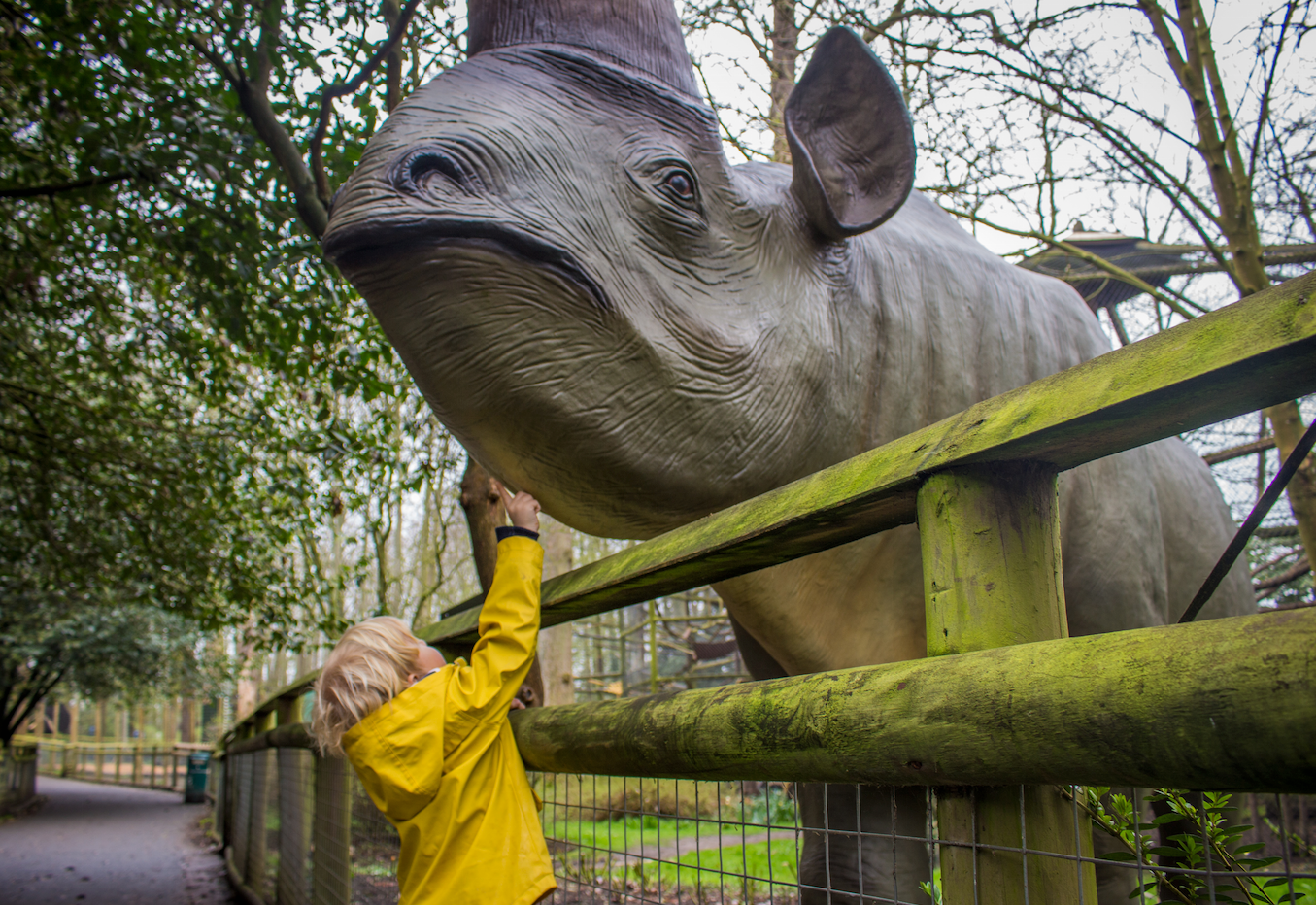 Howletts Wild Animal Park