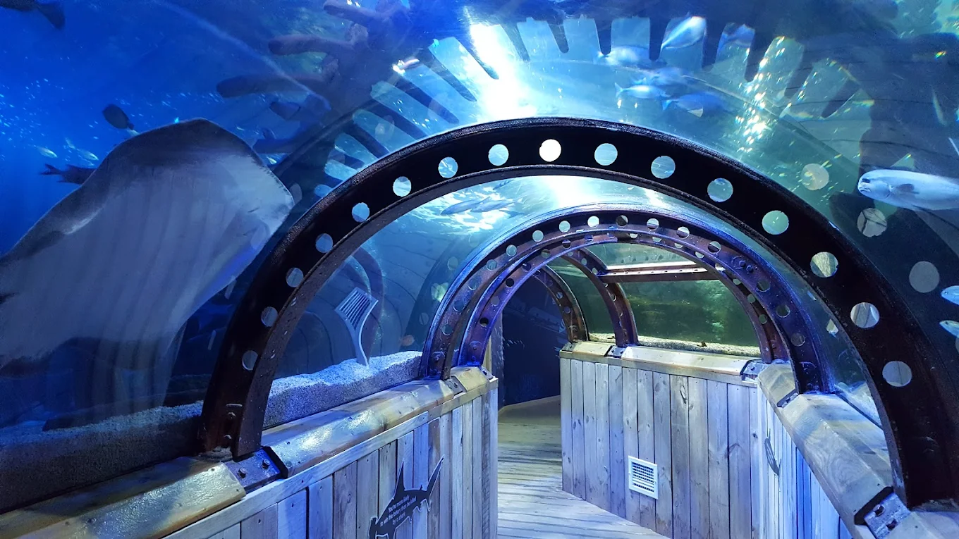 Sea Life Centre