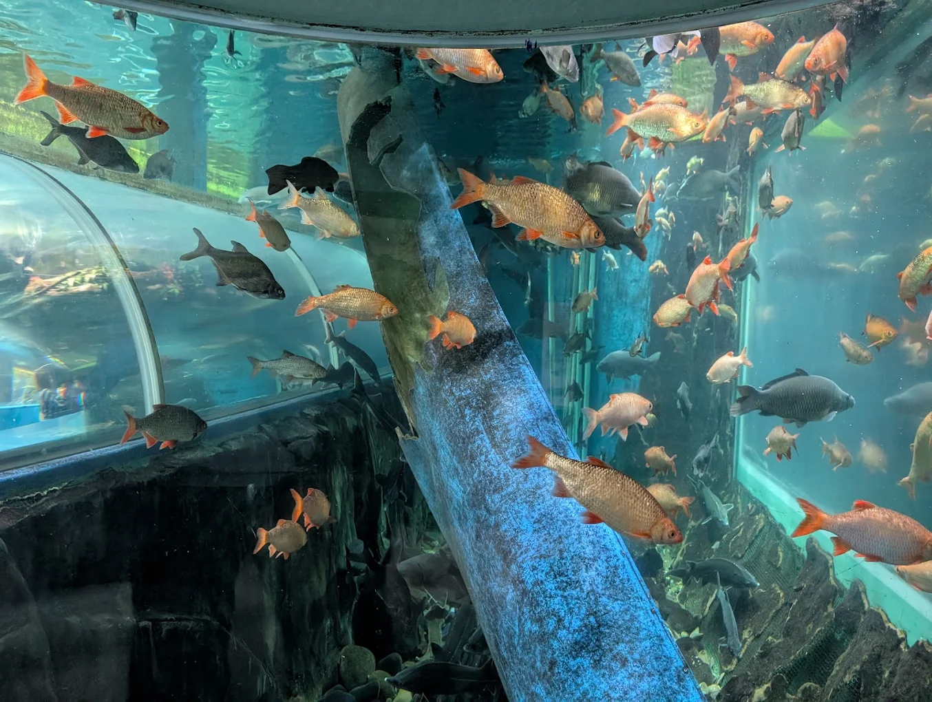 Lakes Aquarium