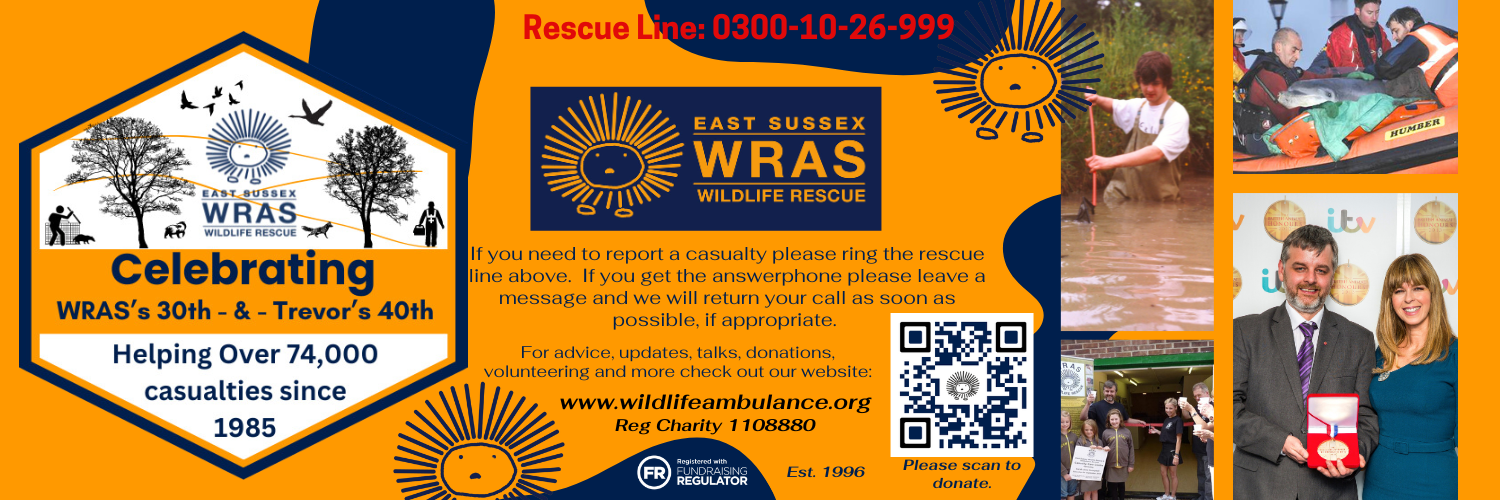 East Sussex Wildlife Rescue & Ambulance Service (East Sussex WRAS)