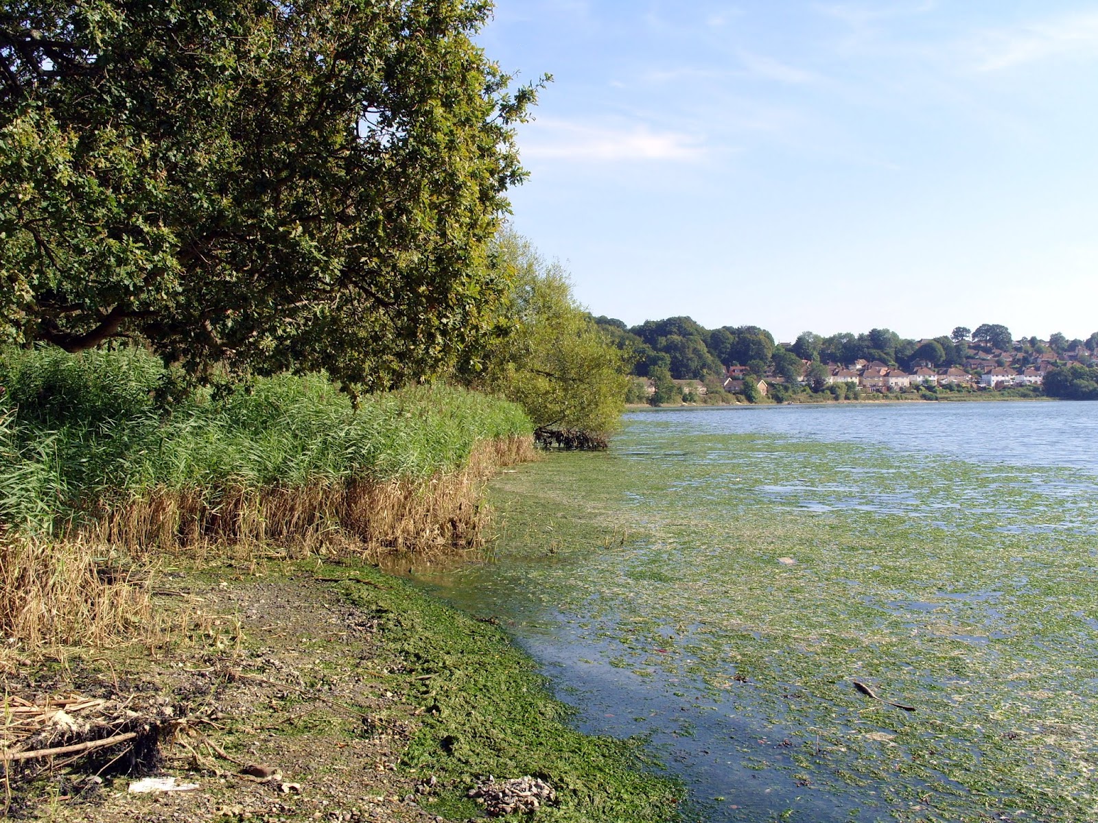 Chessel Bay Nature Reserve