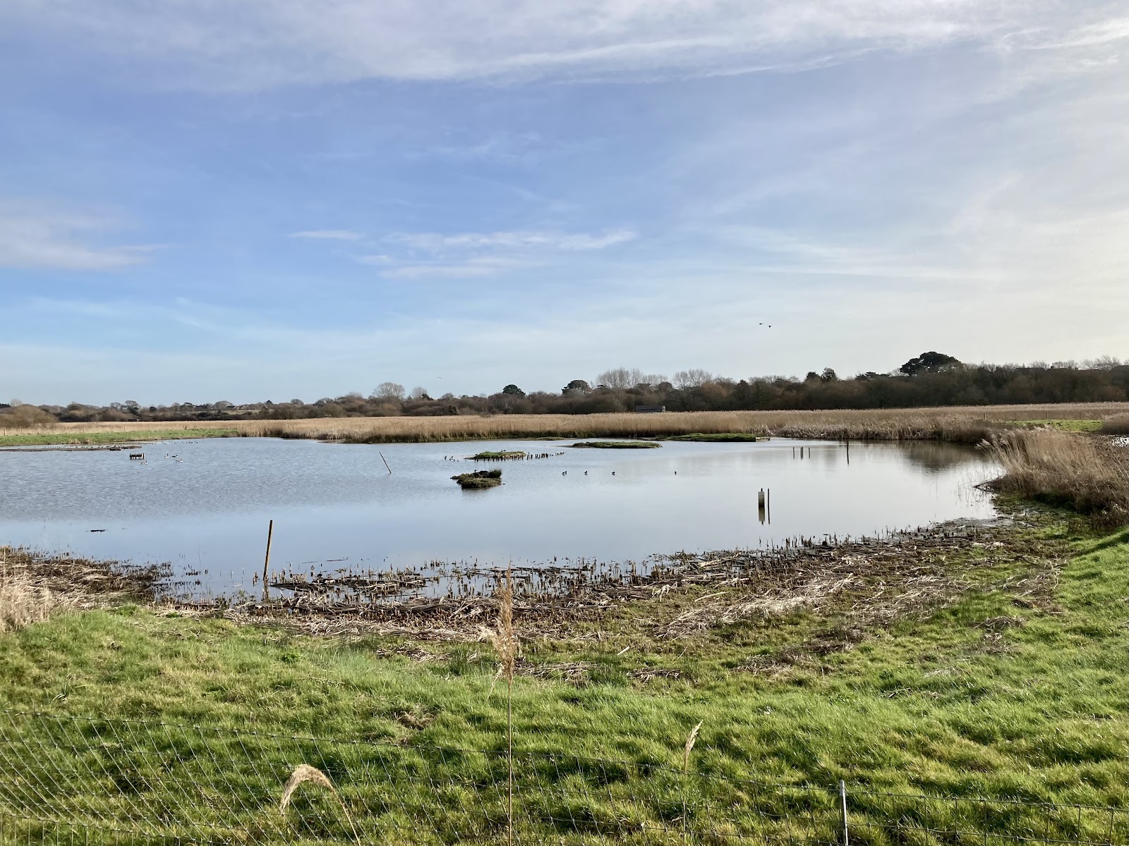 Titchfield Haven National Nature Reserve