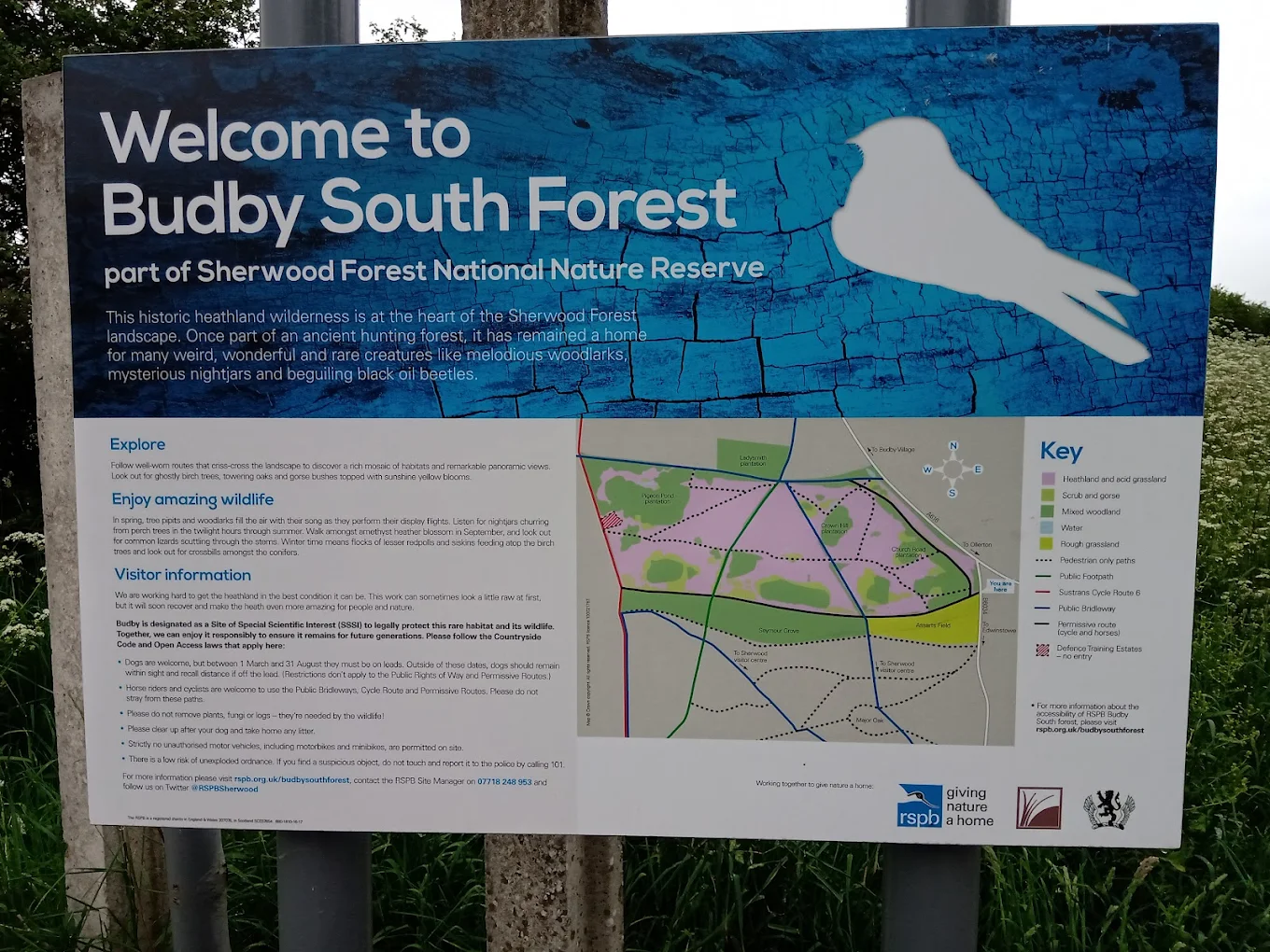 RSPB Sherwood Forest and Budby South Forest
