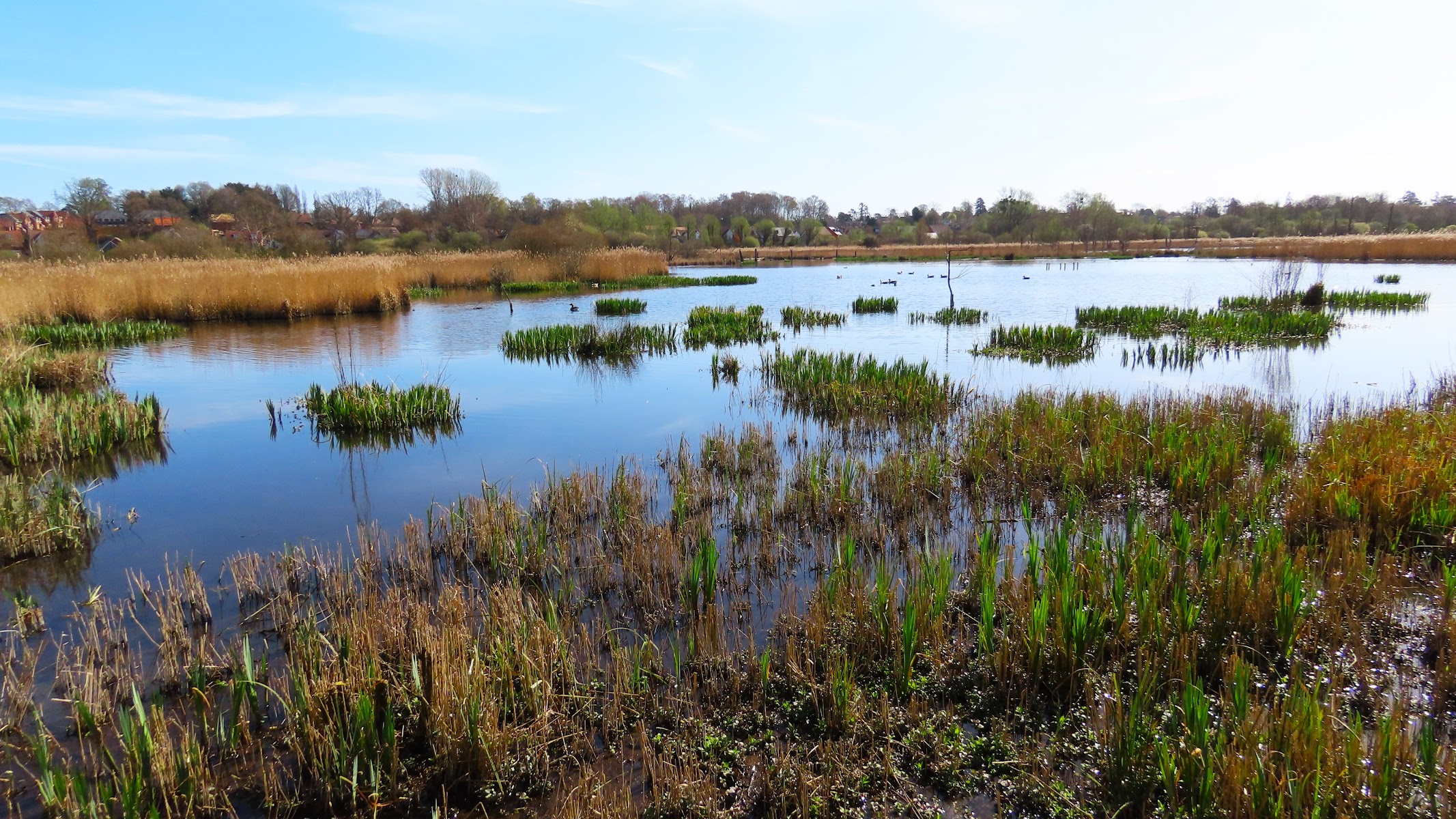 Fishlake Meadows Nature Reserve