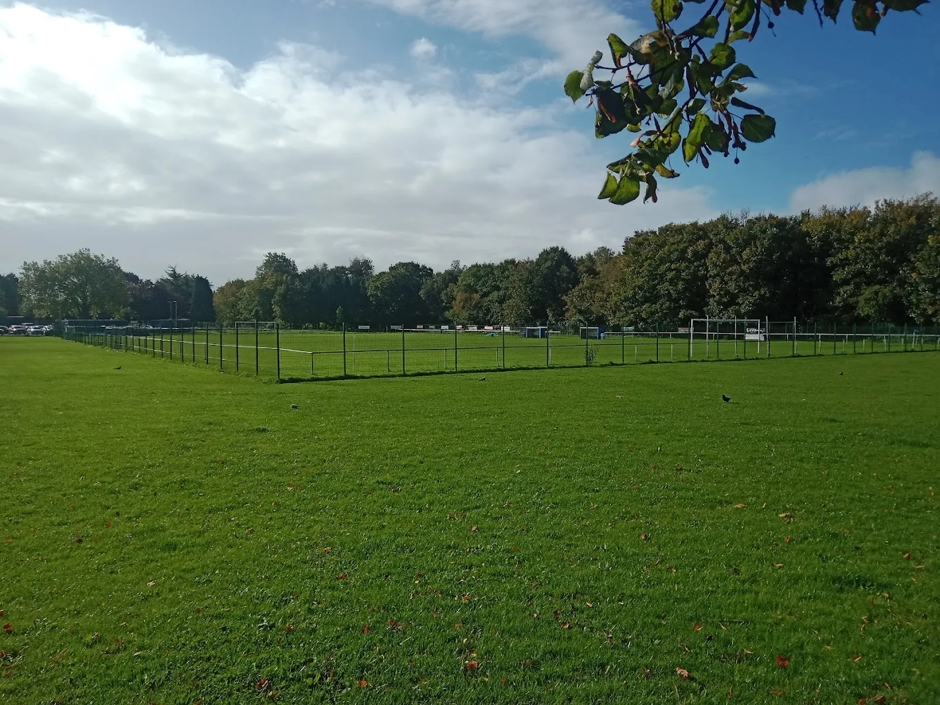 Splott Park