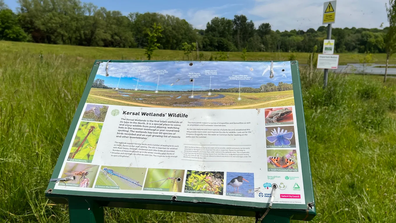 Kersal Wetlands