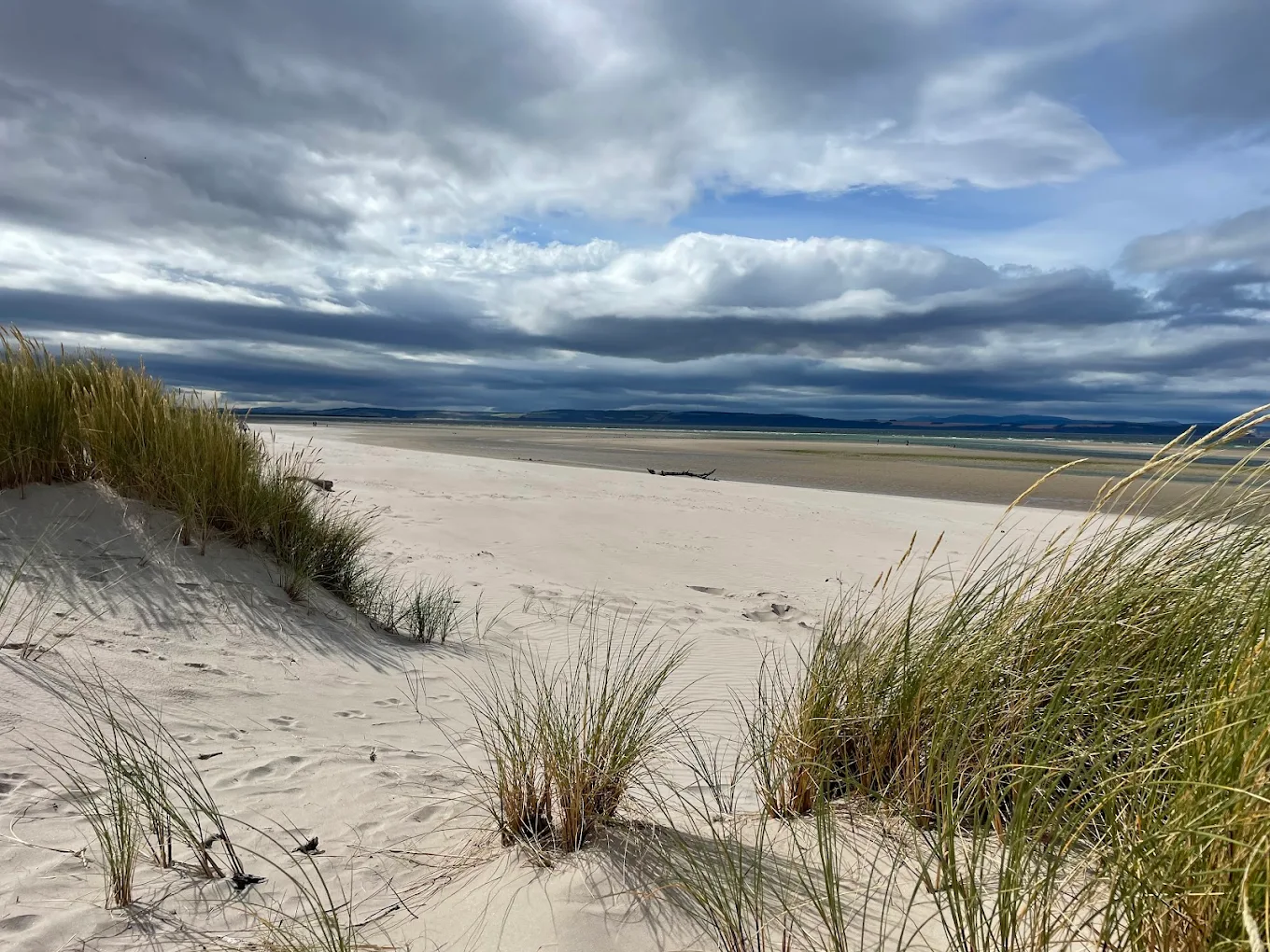 RSPB Culbin Sands