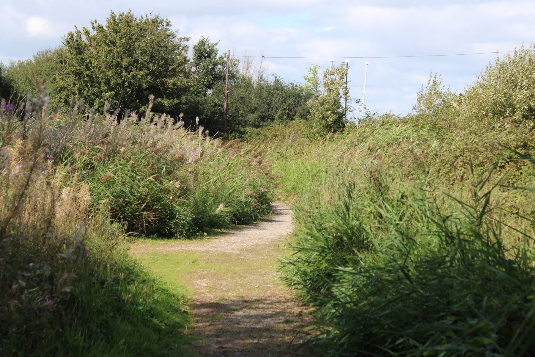 Alan Hersey Nature Reserve