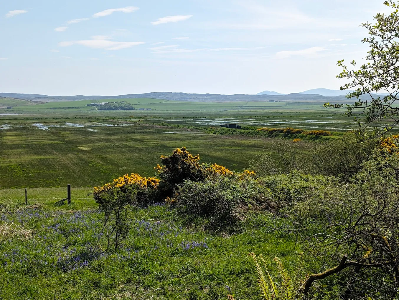 RSPB Loch Gruinart, Islay
