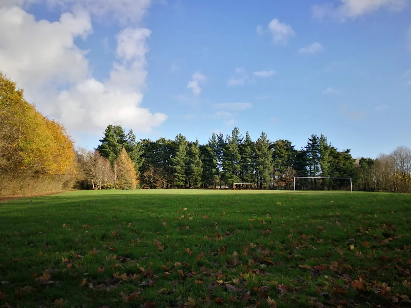 Llanishen Park