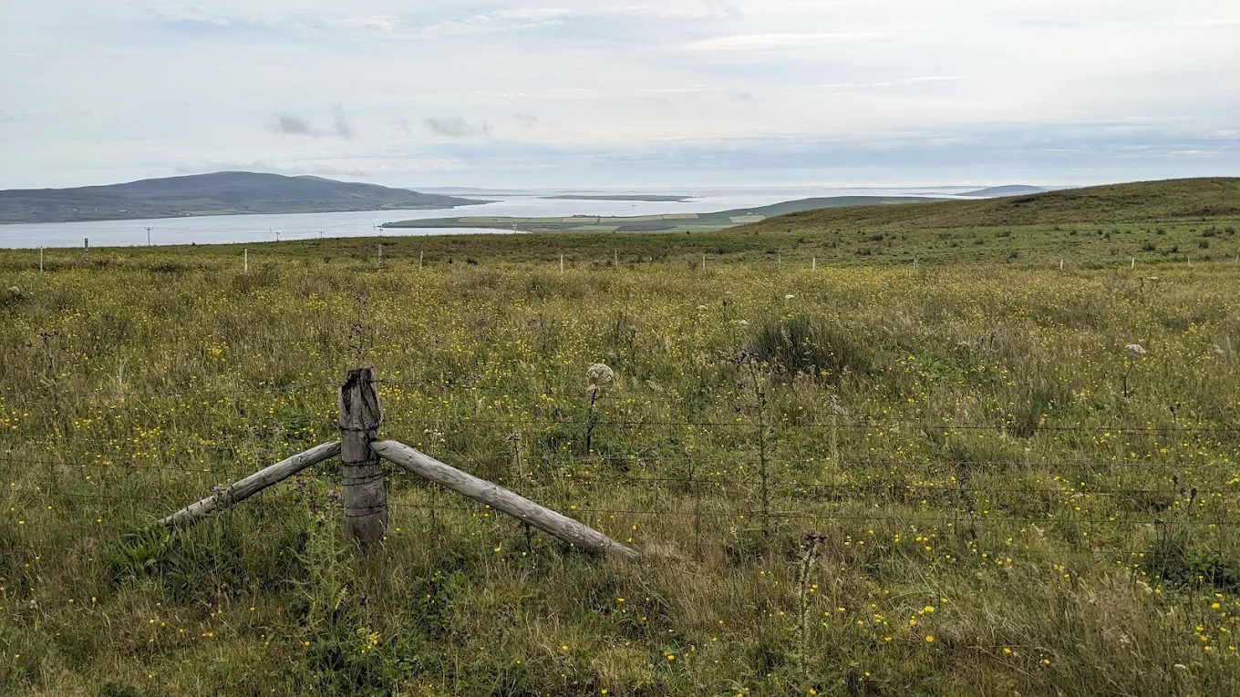 RSPB Birsay Moors