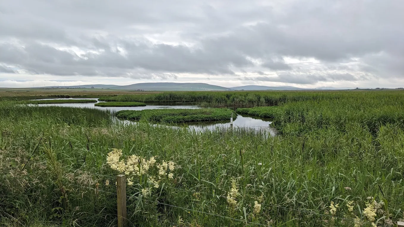 RSPB Scotland The Loons Nature Reserve
