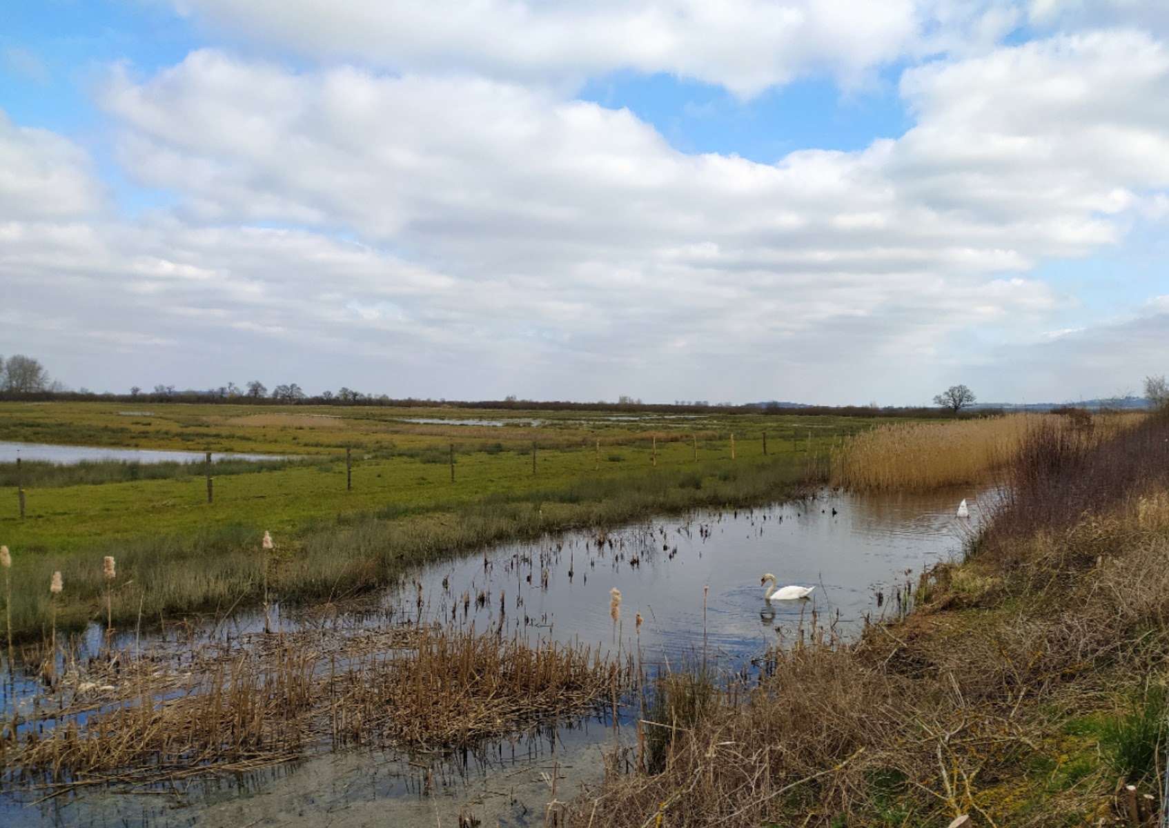 RSPB Otmoor
