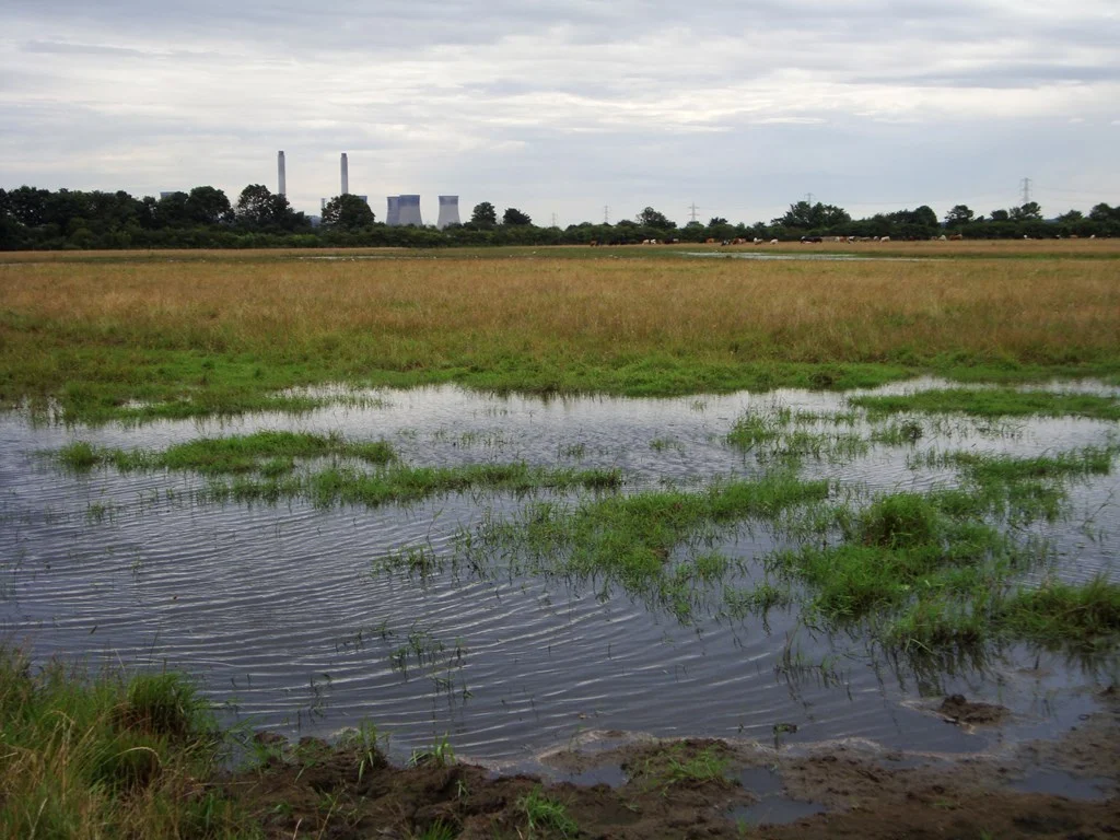 RSPB Beckingham Marshes