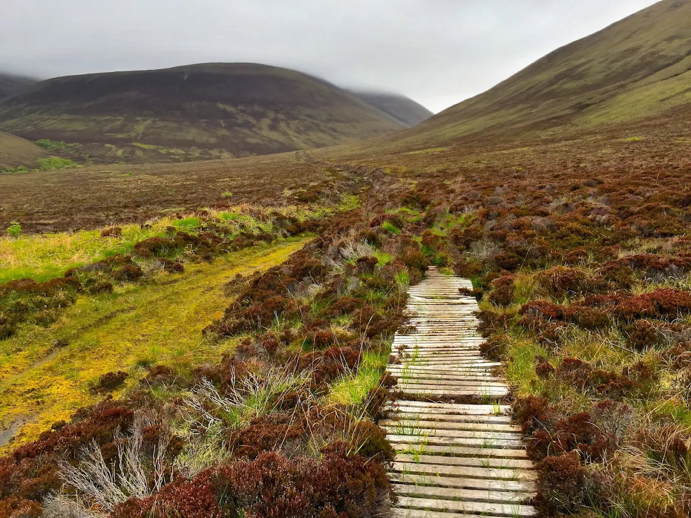 RSPB Scotland Hoy nature reserve