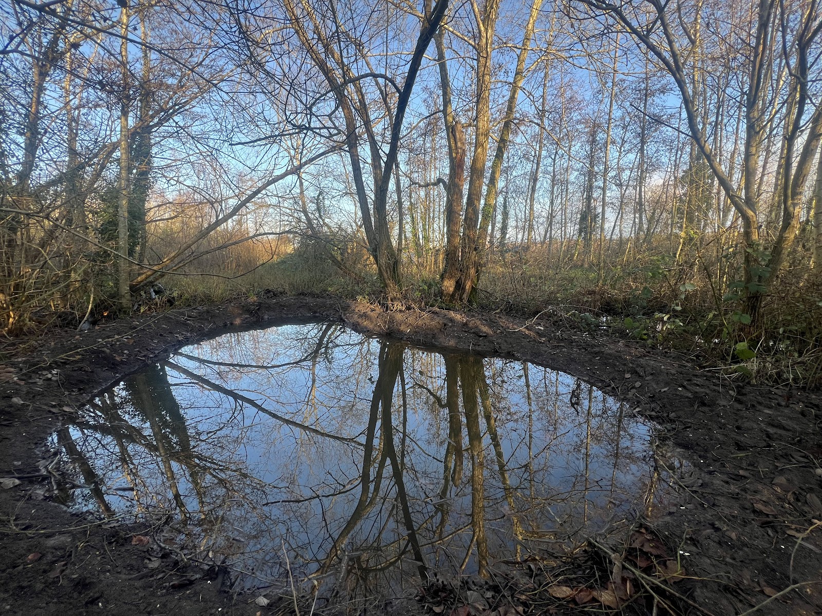 Oxford Urban Wildlife Group at Boundary Brook