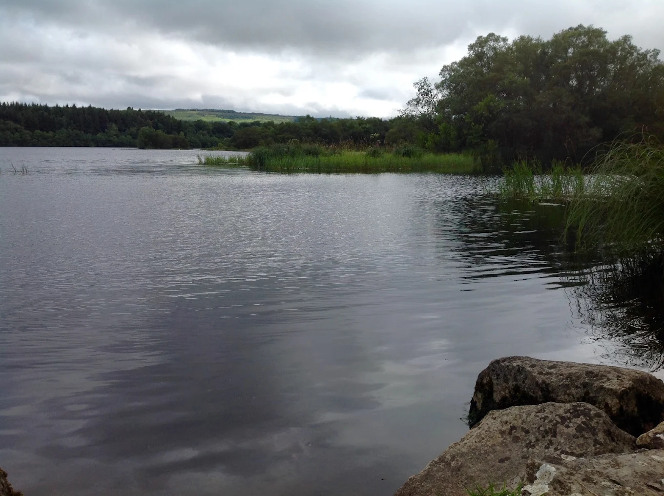 RSPB Lower Lough Erne Reserves