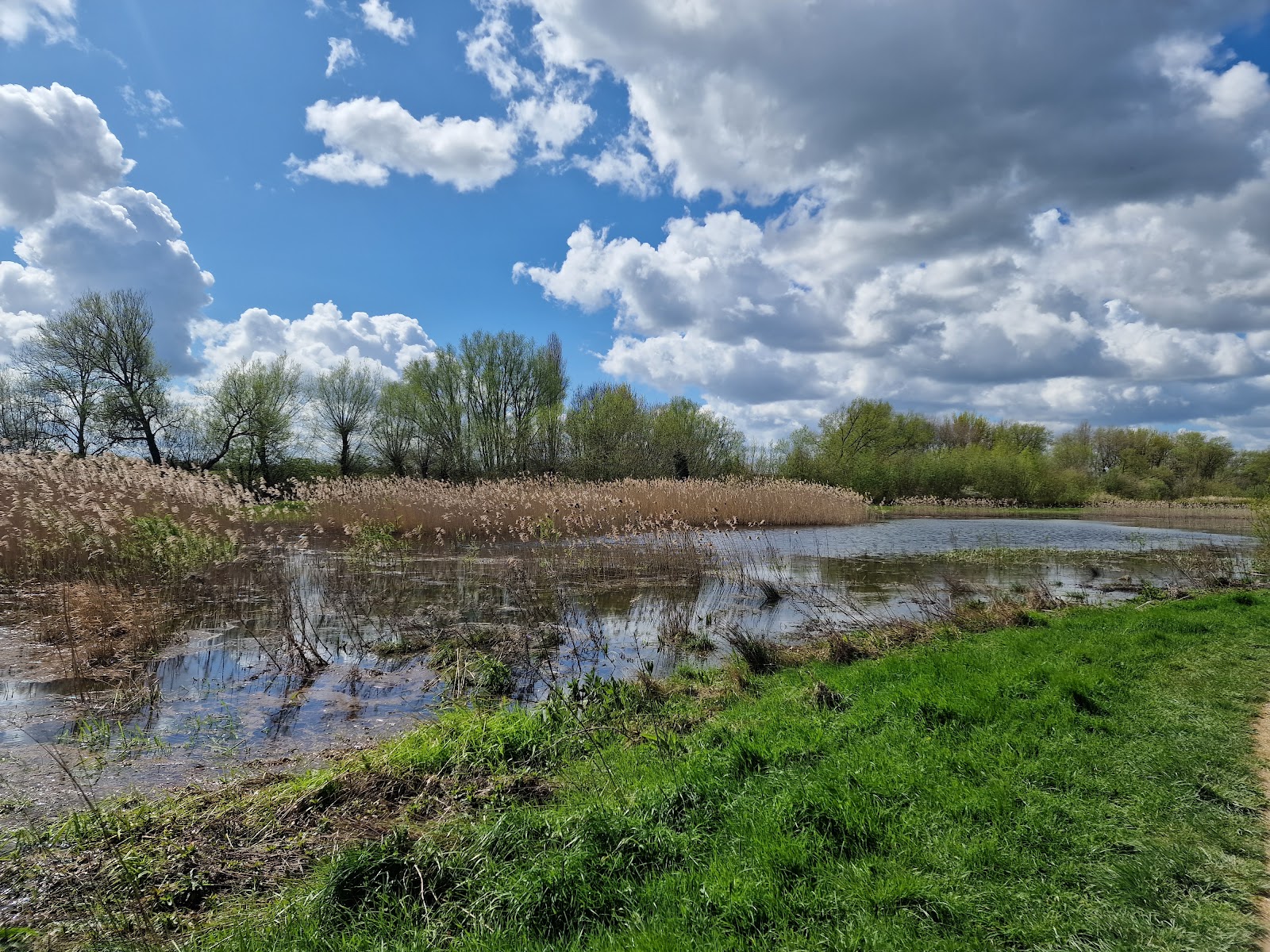 Fobney Island Wetland Nature Reserve