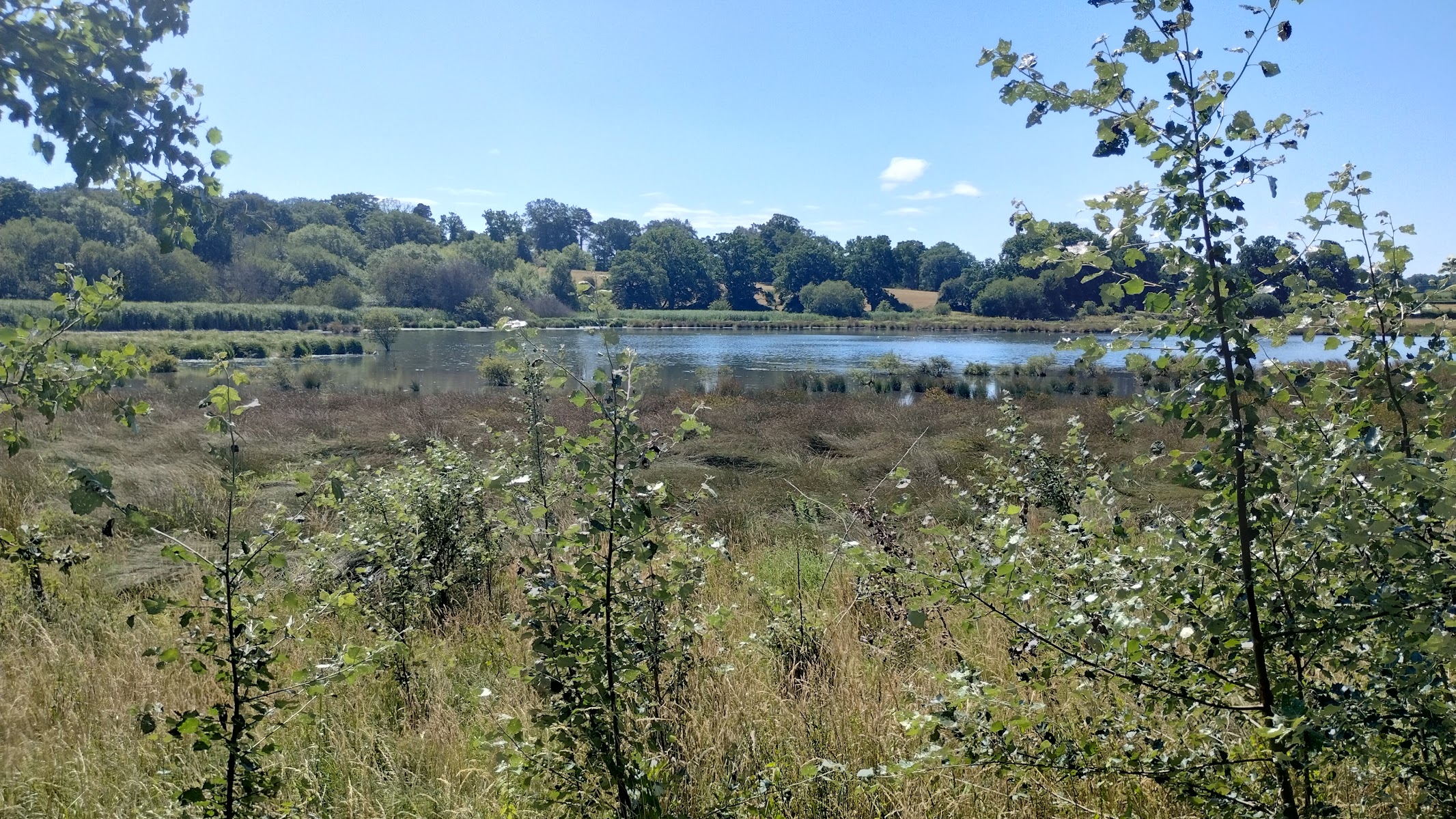 The Vyne Bird Hide