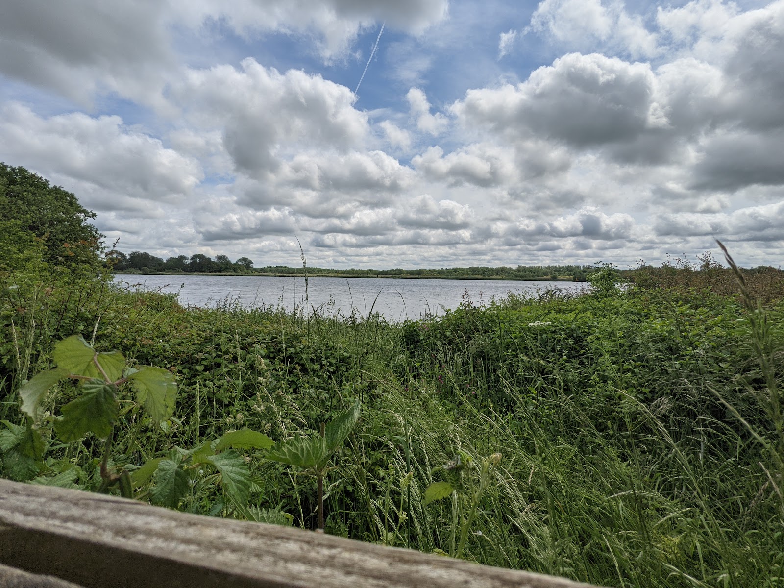Bird Hide screen