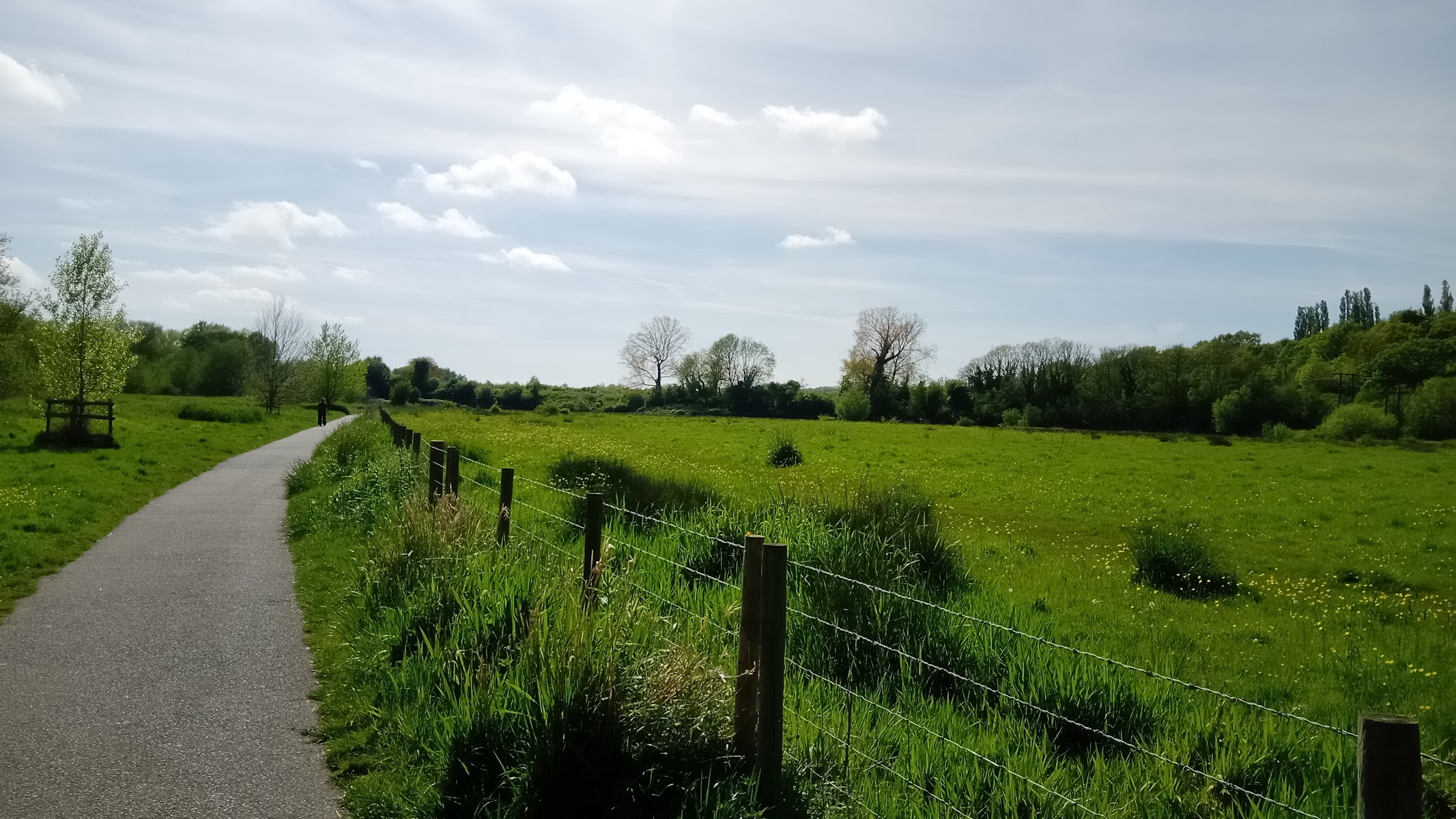 Hambrook Marshes