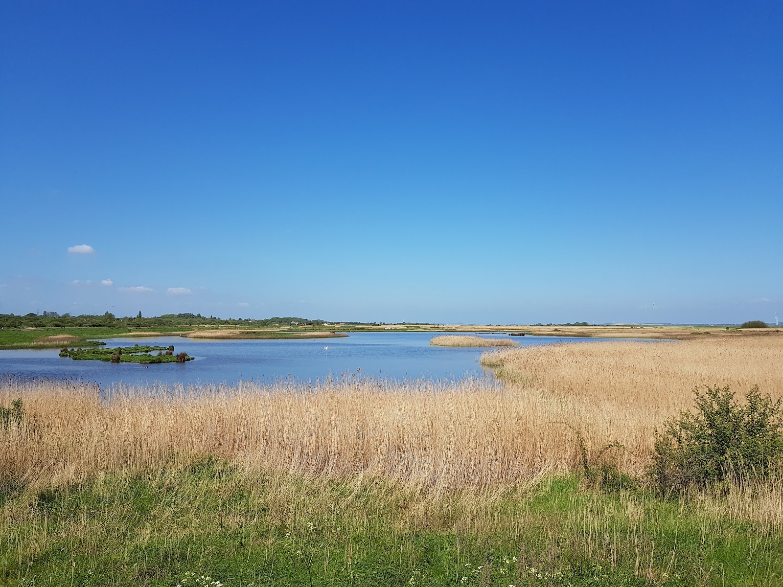 Oare Marshes - Kent Wildlife Trust