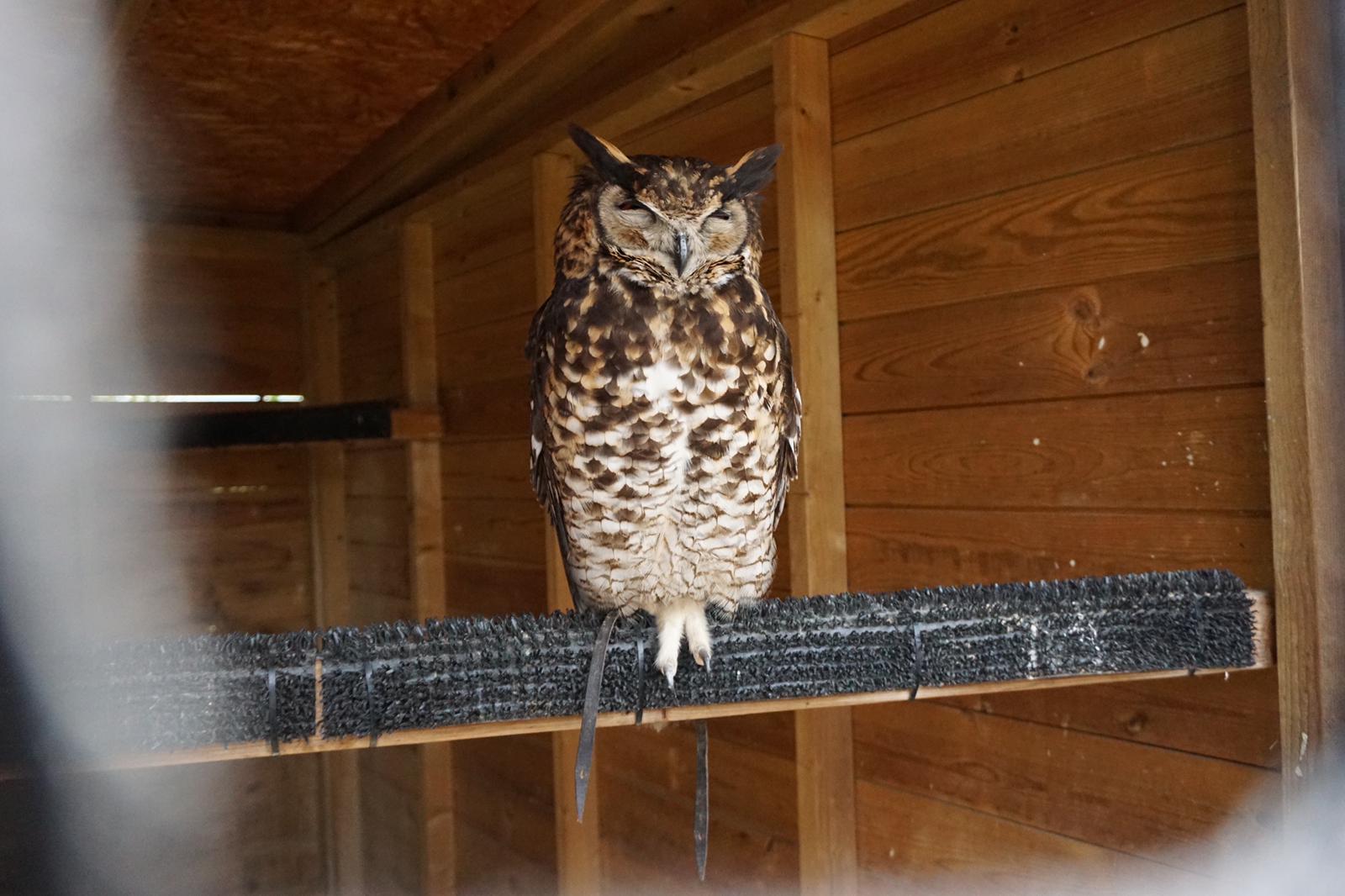 The Hawking Centre