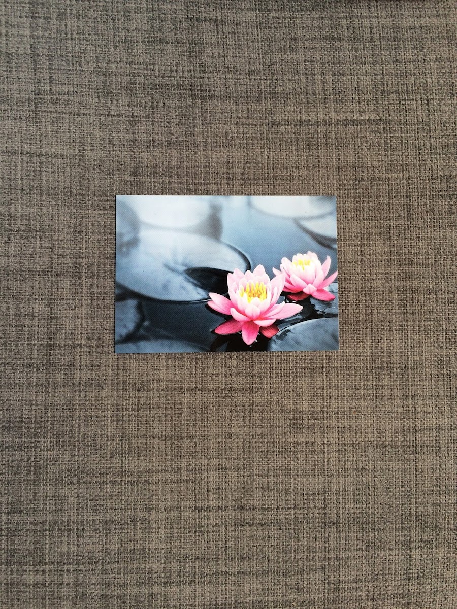 Butterfly Therapies Ltd