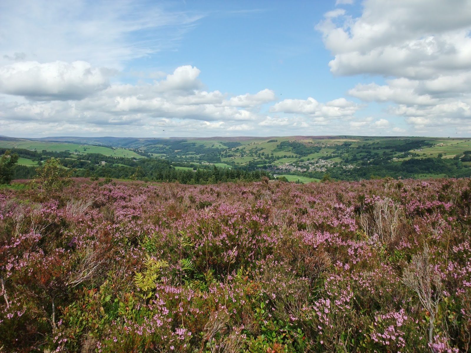 Nidderdale National Landscape