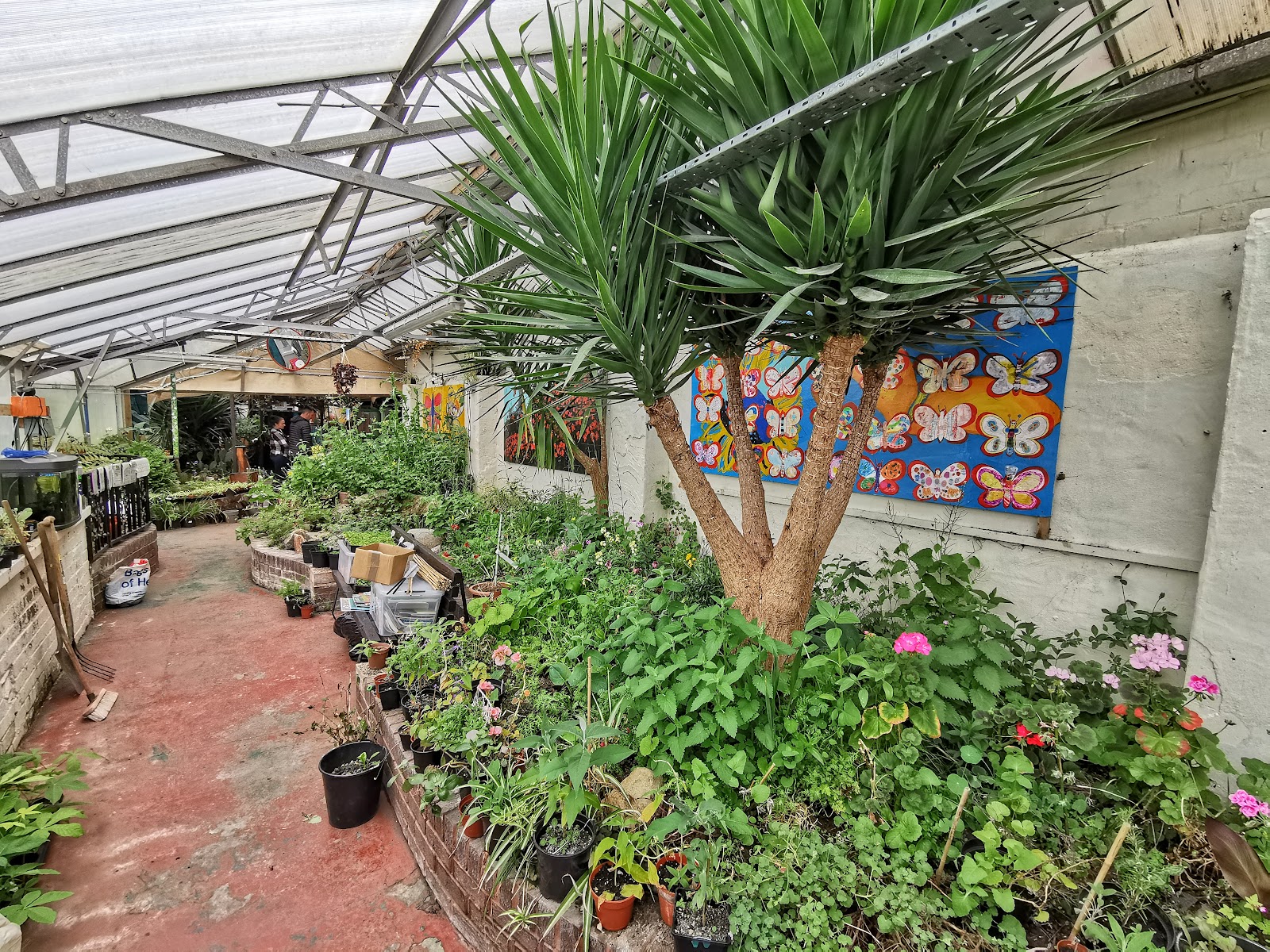 Wilton Park Conservatory