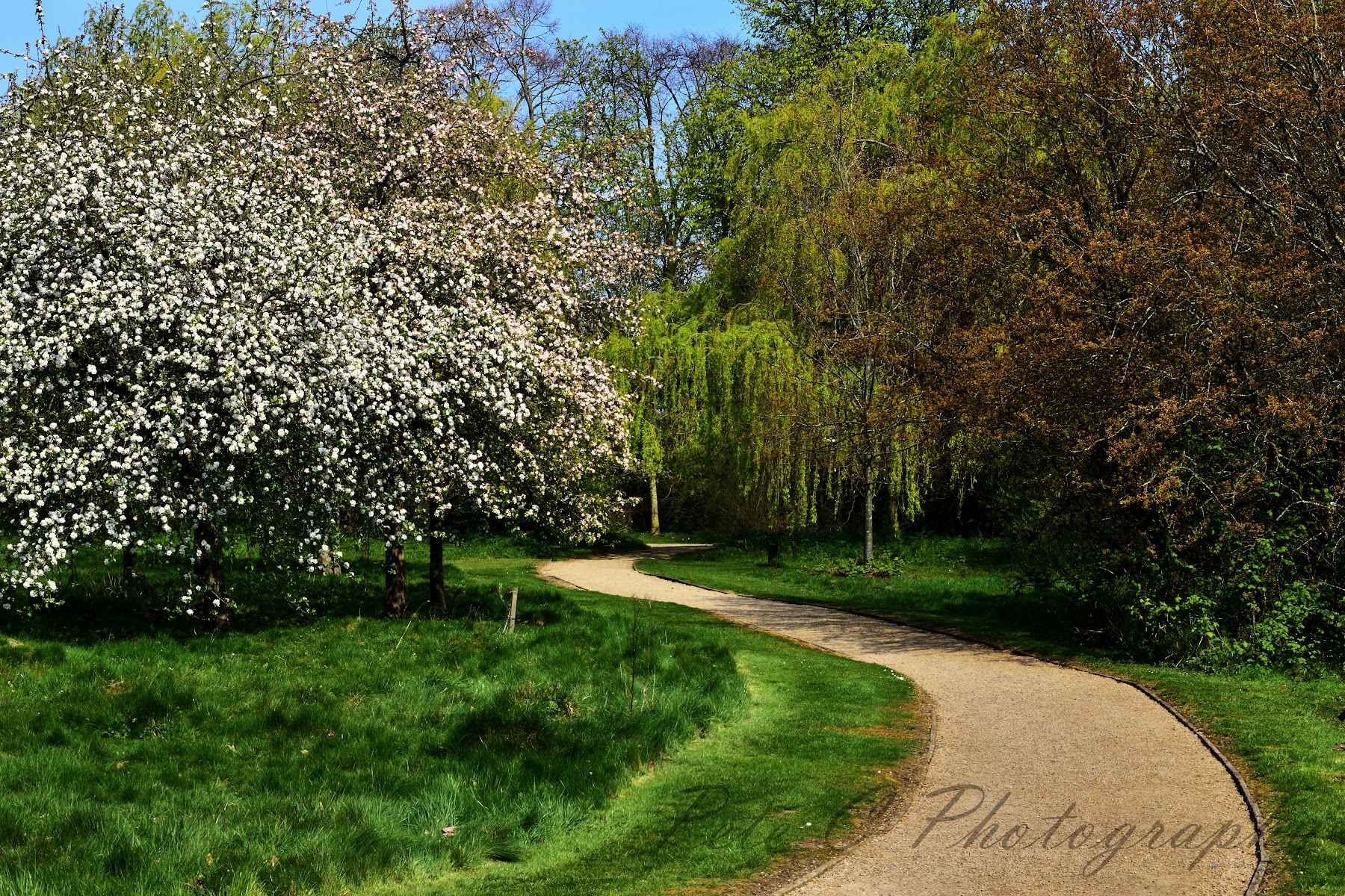 Attenborough Arboretum
