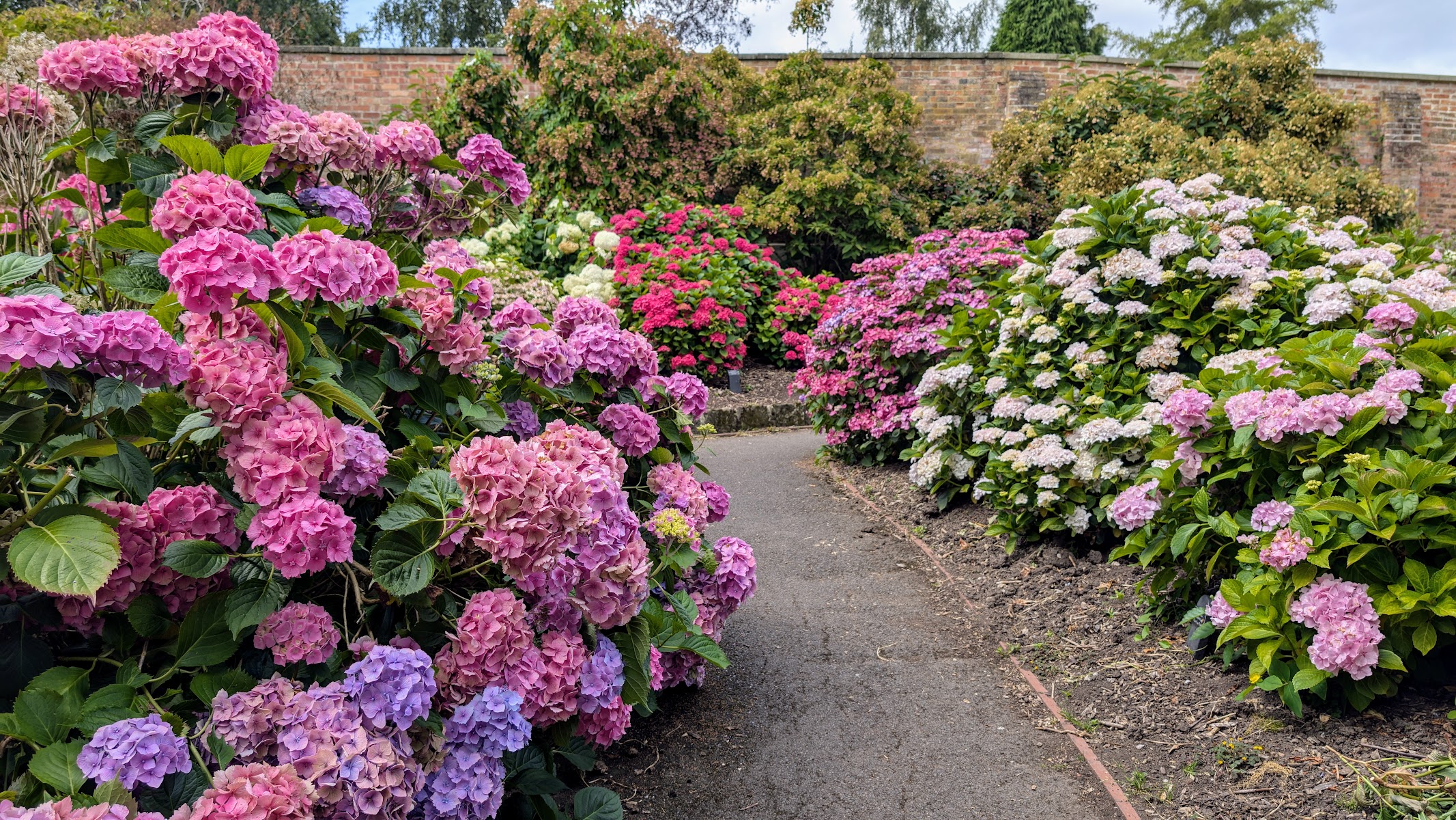 Darley Park Butterfly Garden now called Wildlife Garden