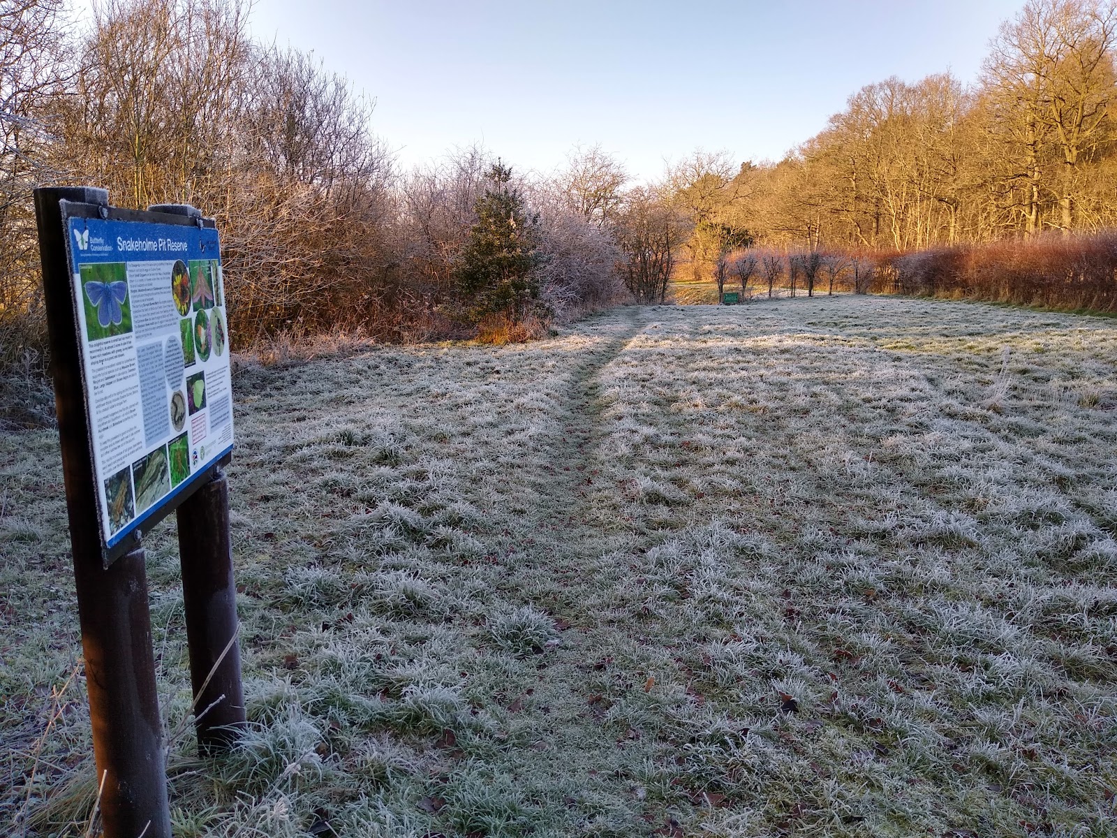 Snakeholme Pit Nature Reserve
