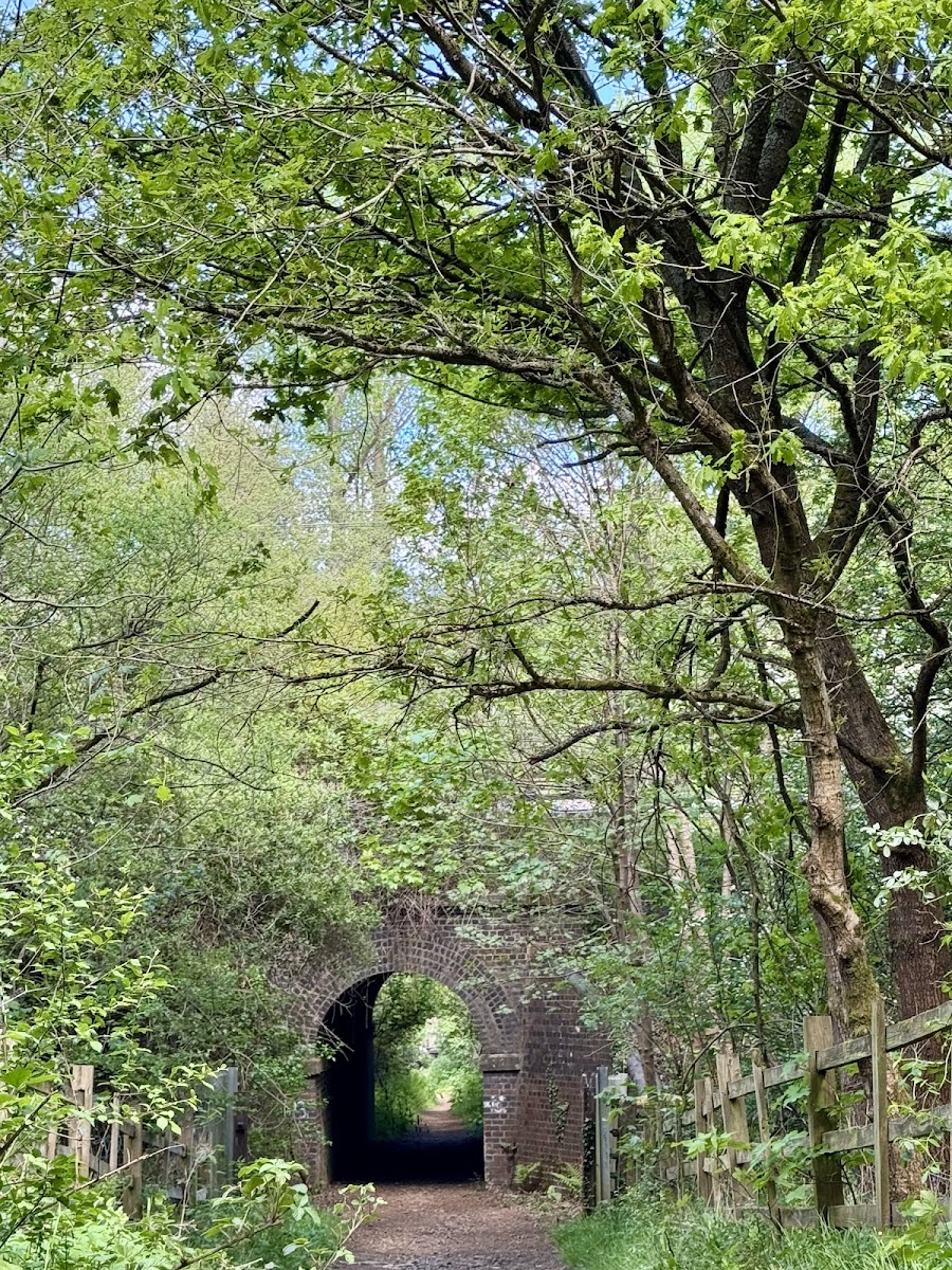 Harlestone Heath