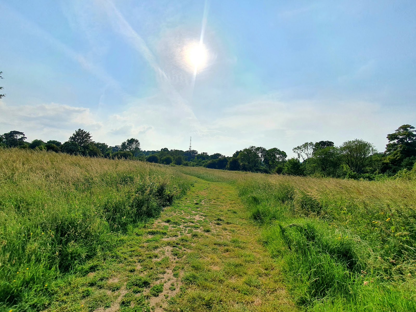 Hayle Park Nature Reserve