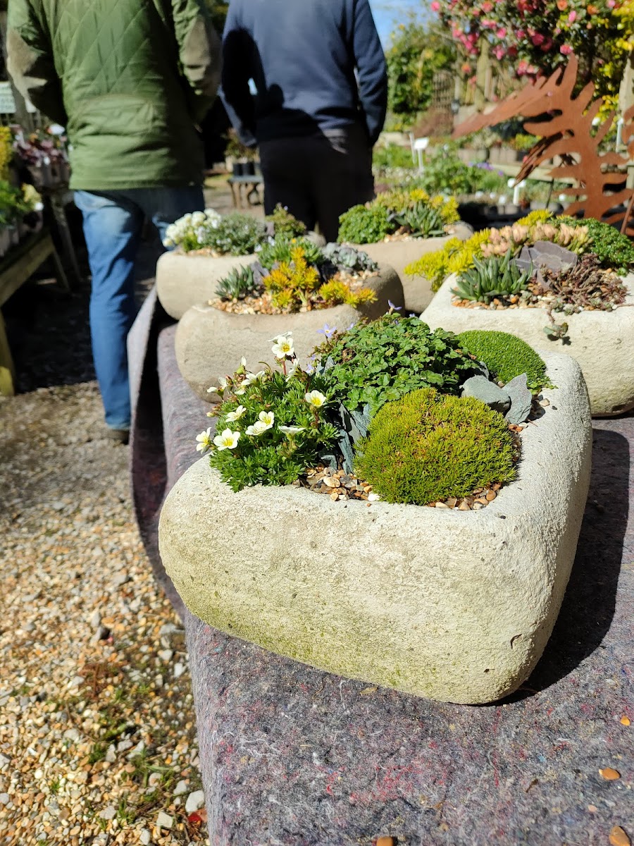 Rotherview Nursery