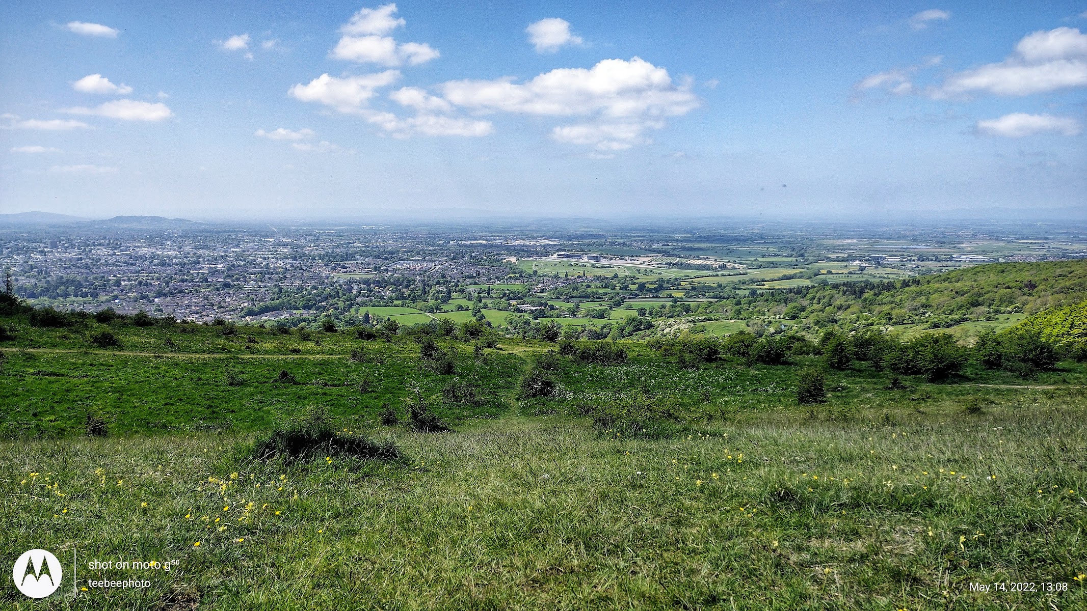 Prestbury Hill Butterfly Reserve